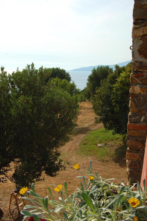 La Formica Villa Ascea Buitenkant foto