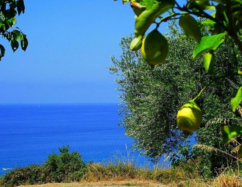 La Formica Villa Ascea Buitenkant foto
